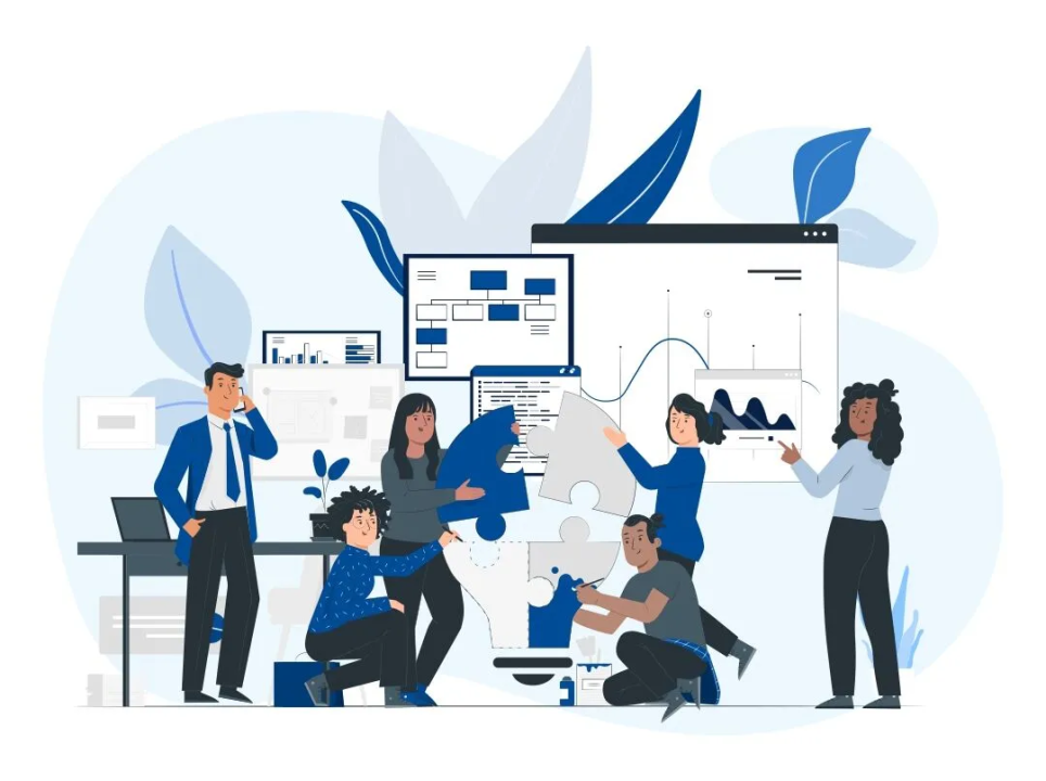Project Management & Stakeholder Collaboration
